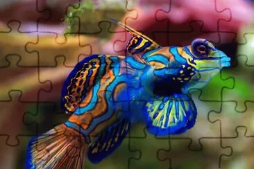 Imagem jigsaw puzzle