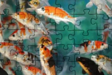 Imagem jigsaw puzzle