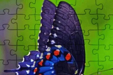 Foto jigsaw puzzle
