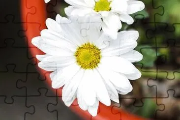 Imagem jigsaw puzzle