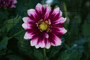 Imagem jigsaw puzzle