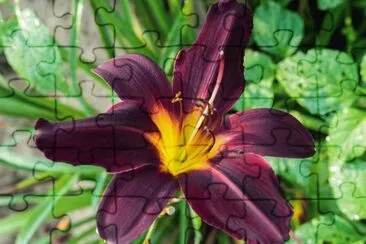 Foto jigsaw puzzle