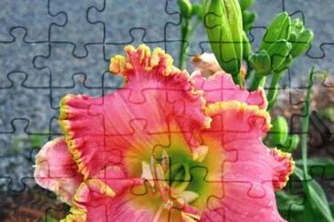 Foto jigsaw puzzle