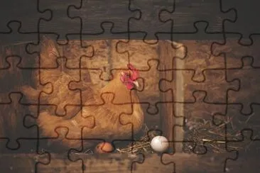 Imagem jigsaw puzzle