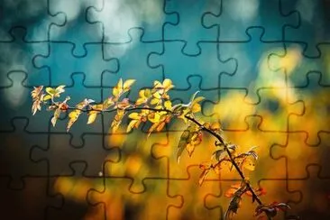 Imagem jigsaw puzzle