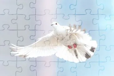 Imagem jigsaw puzzle