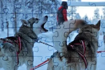 Imagem jigsaw puzzle