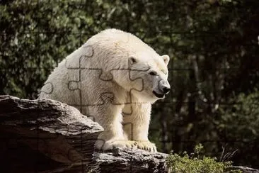 Imagem jigsaw puzzle