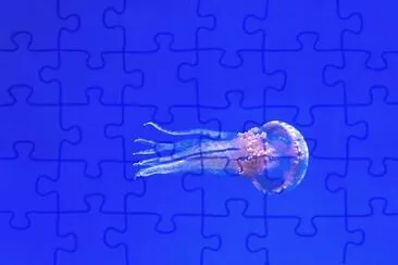 Imagem jigsaw puzzle