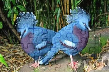 Imagem jigsaw puzzle