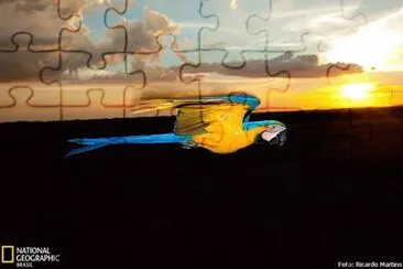 natural jigsaw puzzle