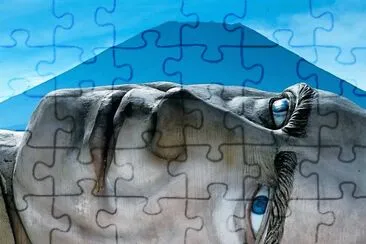 arte jigsaw puzzle