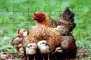 mom#277
