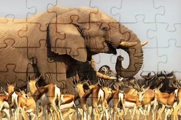 w3 jigsaw puzzle