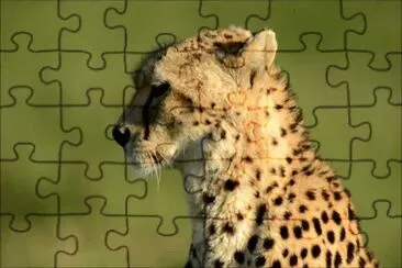 פאזל של Imagem