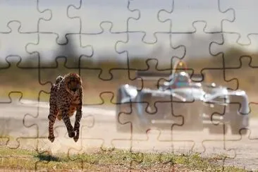 Imagem jigsaw puzzle