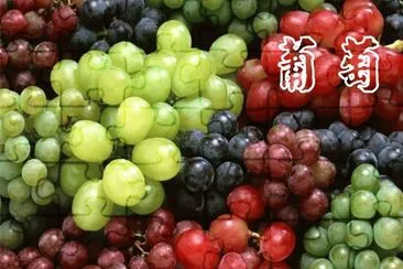 æ°´æžœ è‘¡è„ jigsaw puzzle