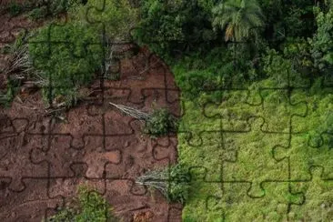 Imagem jigsaw puzzle