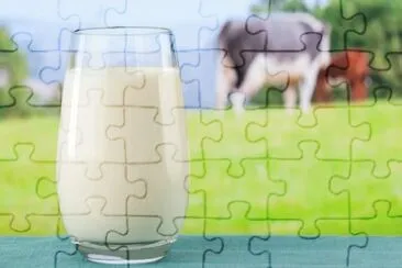 Imagem jigsaw puzzle