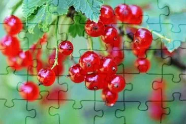 Imagem jigsaw puzzle