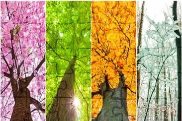 å››å­£æ˜¥å¤ç§‹å†¬ jigsaw puzzle