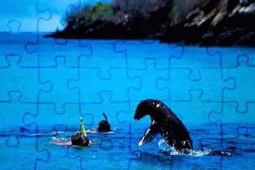 Imagem jigsaw puzzle