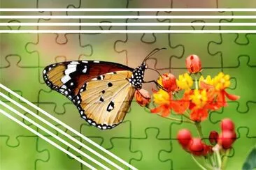 èŠ±èˆ‡æ˜†èŸ² jigsaw puzzle