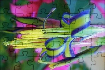 cores jigsaw puzzle