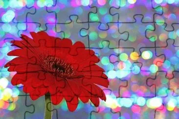 Imagem jigsaw puzzle