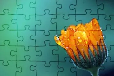 Imagem jigsaw puzzle