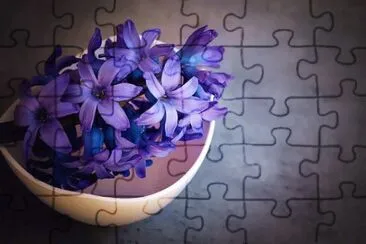 Imagem jigsaw puzzle