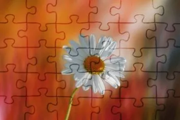 Imagem jigsaw puzzle