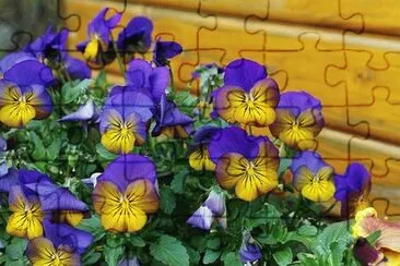 Imagem jigsaw puzzle
