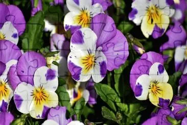 Imagem jigsaw puzzle