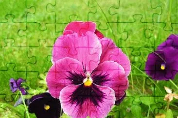 Imagem jigsaw puzzle