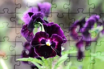 Imagem jigsaw puzzle