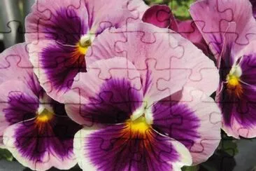 Imagem jigsaw puzzle