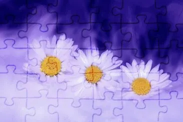 Imagem jigsaw puzzle