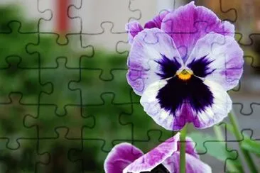 Imagem jigsaw puzzle