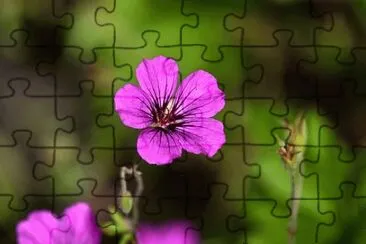 Imagem jigsaw puzzle