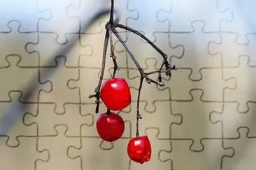 Imagem jigsaw puzzle