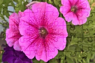 Imagem jigsaw puzzle