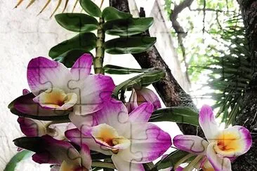 flores