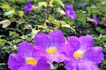 flores jigsaw puzzle