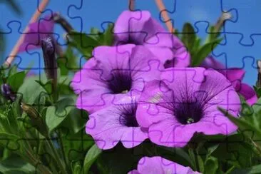 Imagem jigsaw puzzle