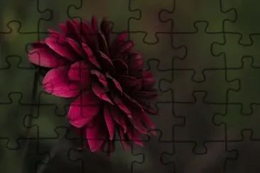 פאזל של Imagem