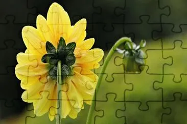 Imagem jigsaw puzzle