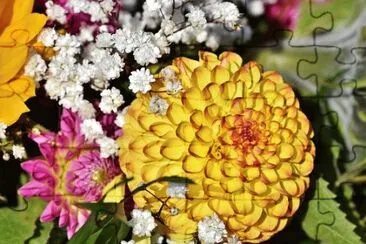 Imagem jigsaw puzzle