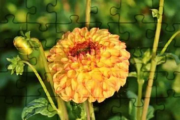 Imagem jigsaw puzzle