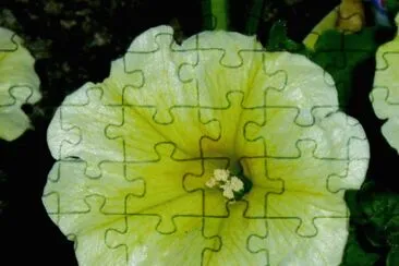 Imagem jigsaw puzzle